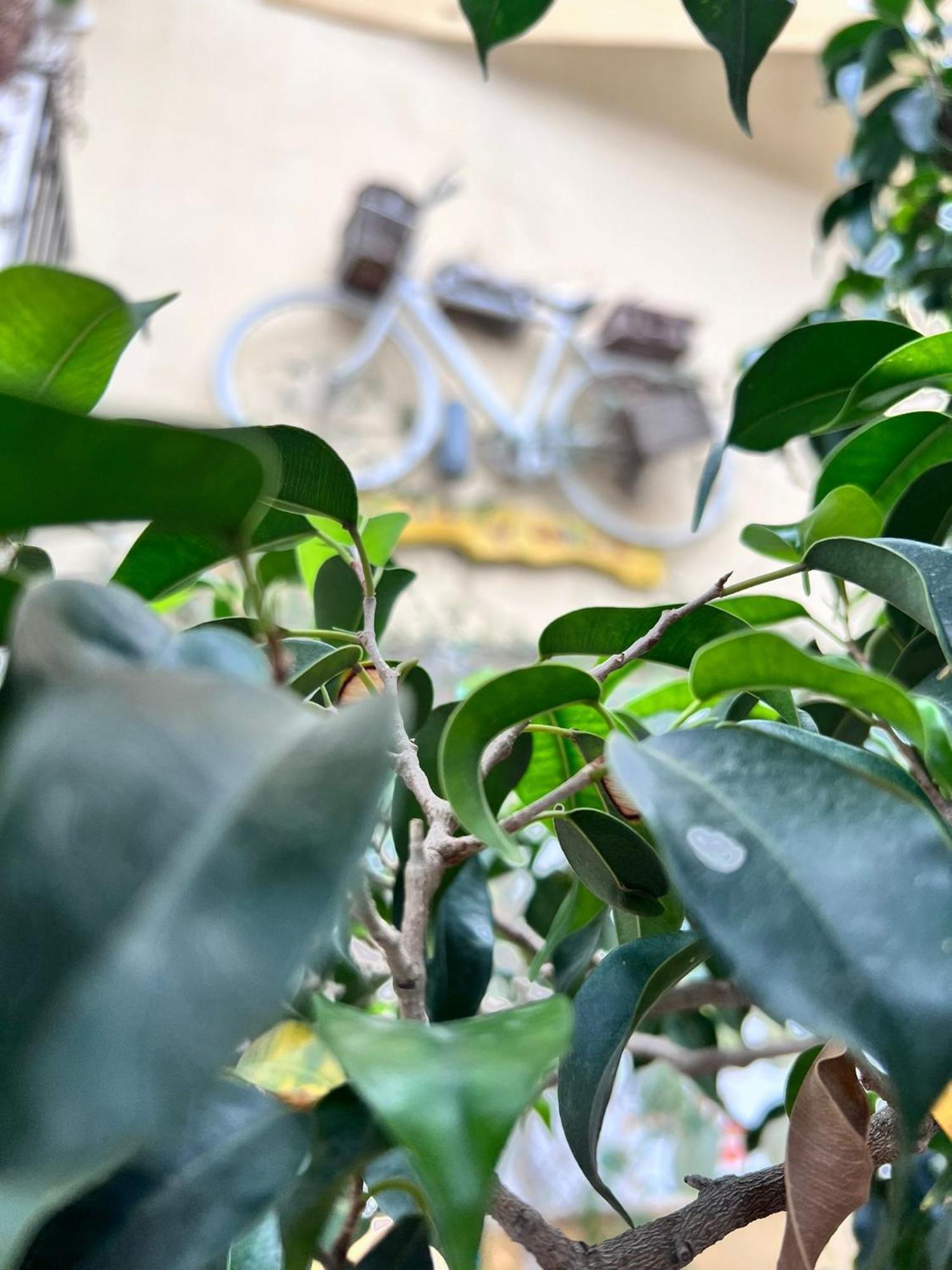 Bahalara Alloggio Palermo Exterior foto